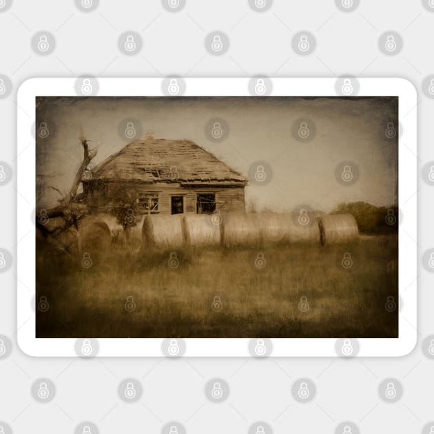 Abandoned On The Prairie photograph Sticker by art64